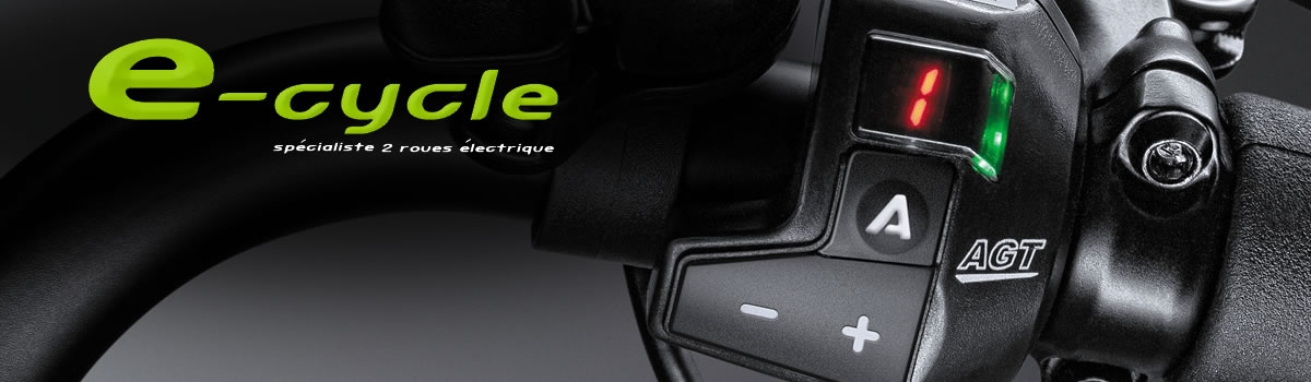 E-Cycle - N°1 du VAE en France